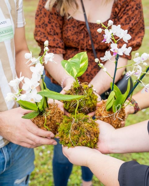 The Art of Kokedama Workshop